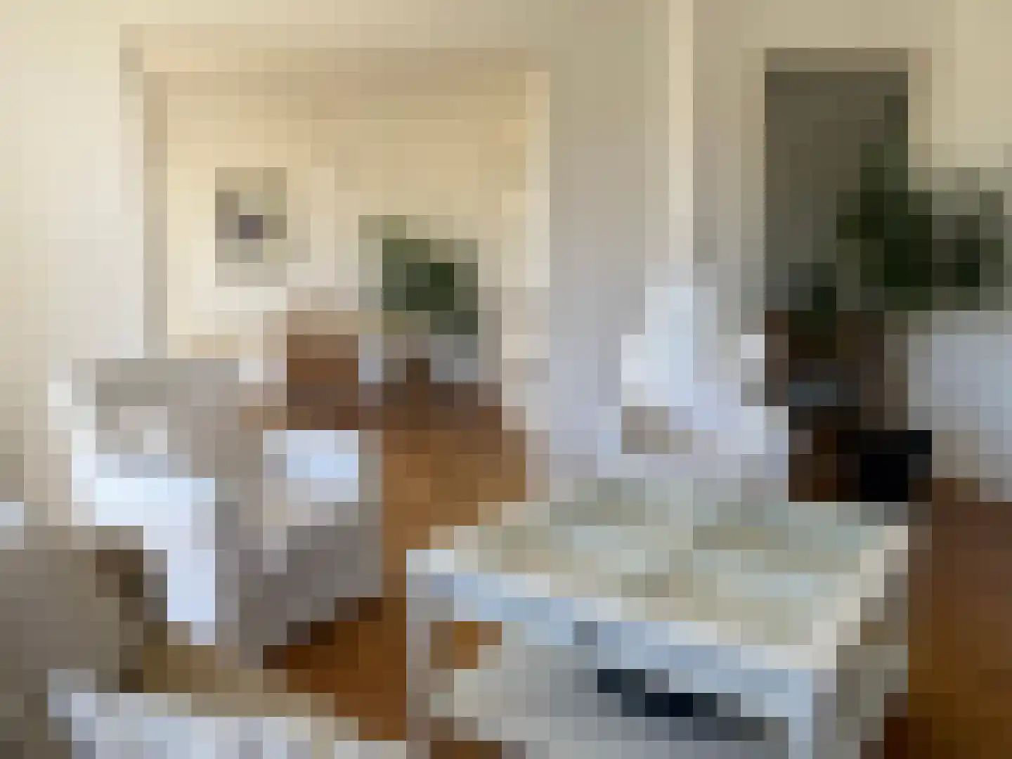 Pieter Meinersstraat 106 Den Haag thumbnail 9
