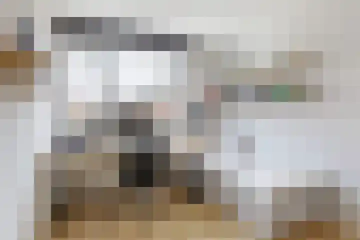 Pieter Meinersstraat 19 Den Haag thumbnail 14