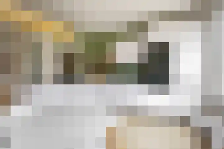 Pieter Meinersstraat 19 Den Haag thumbnail 7