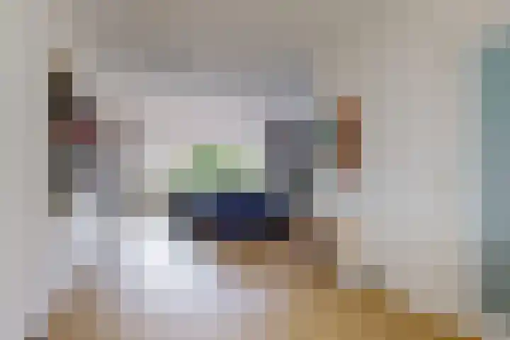 Pieter Meinersstraat 19 Den Haag thumbnail 8