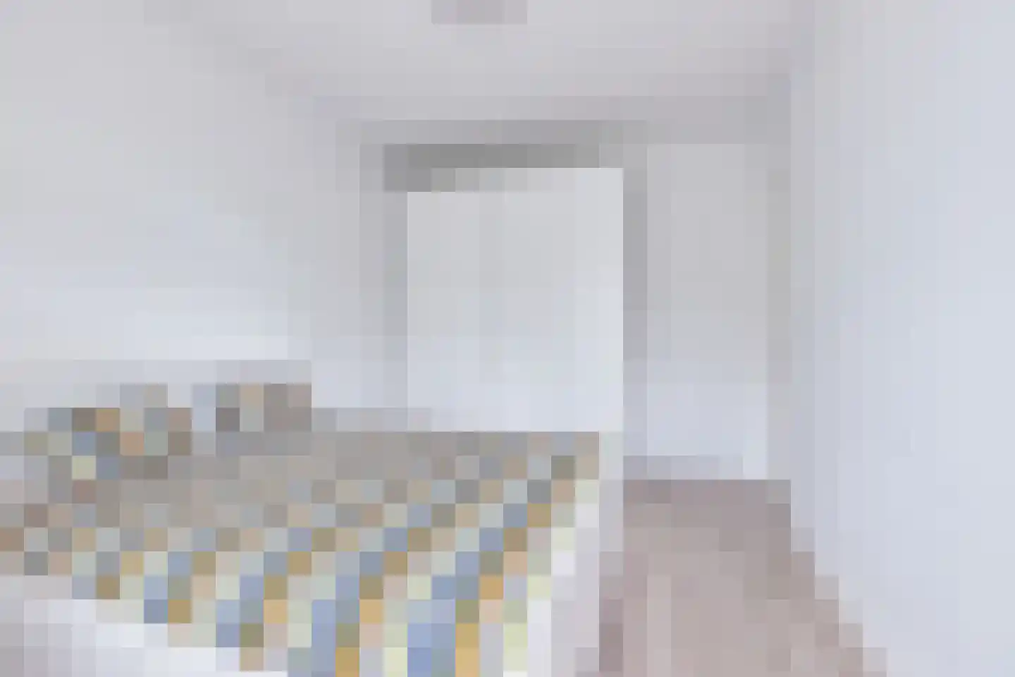Pieter Meinersstraat 46 Den Haag thumbnail 16