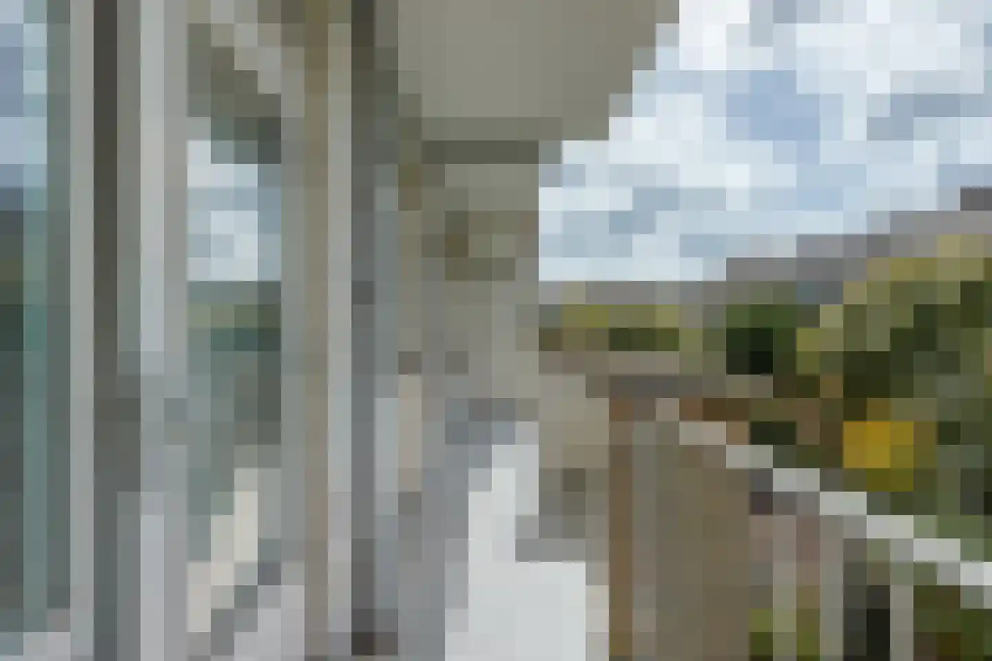 Pieter Meinersstraat 46 Den Haag thumbnail 17