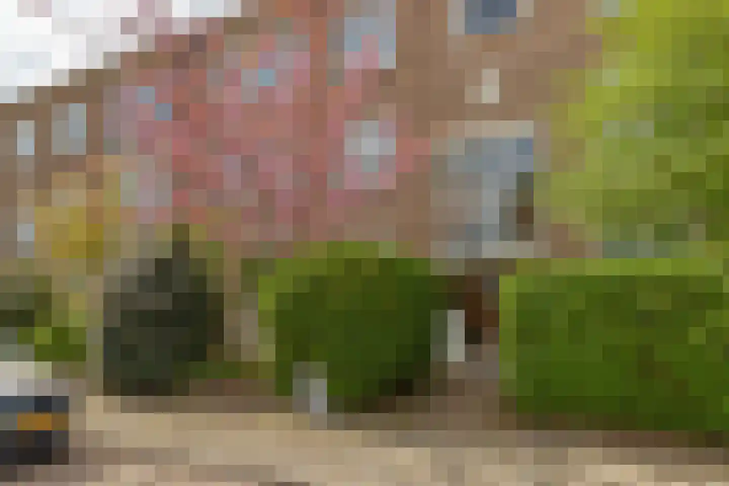 Pieter Meinersstraat 46 Den Haag thumbnail 31