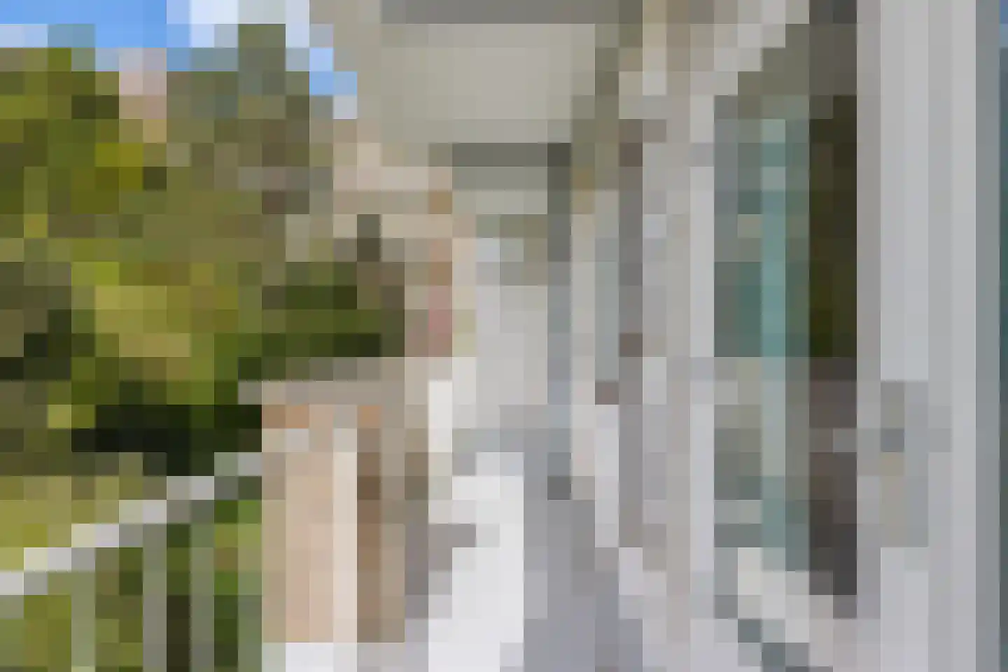 Pieter Meinersstraat 46 Den Haag thumbnail 8