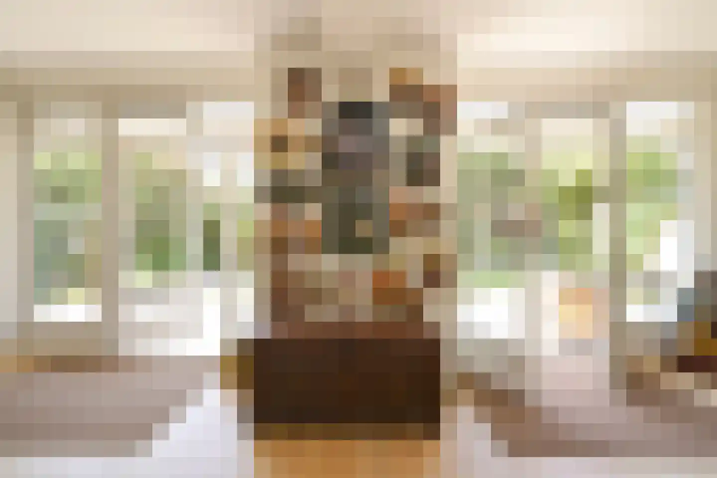 Pieter Meinersstraat 90 Den Haag thumbnail 18