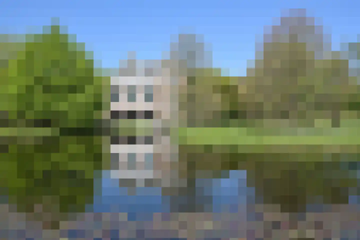 Pieter Meinersstraat 90 Den Haag thumbnail 49
