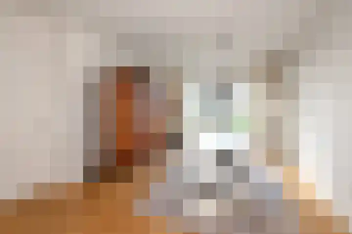 Pieter Meinersstraat 94 Den Haag thumbnail 11