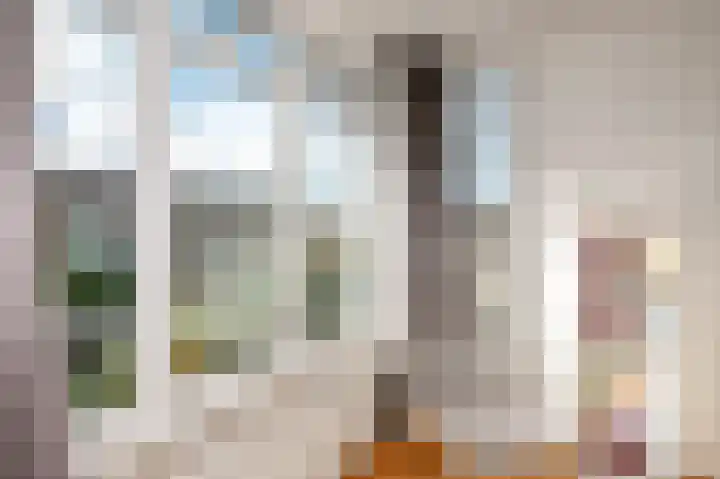 Pieter Meinersstraat 94 Den Haag thumbnail 13