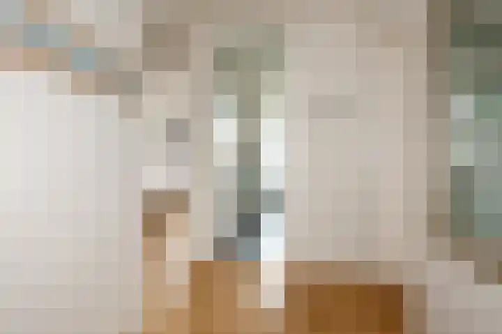 Pieter Meinersstraat 94 Den Haag thumbnail 4