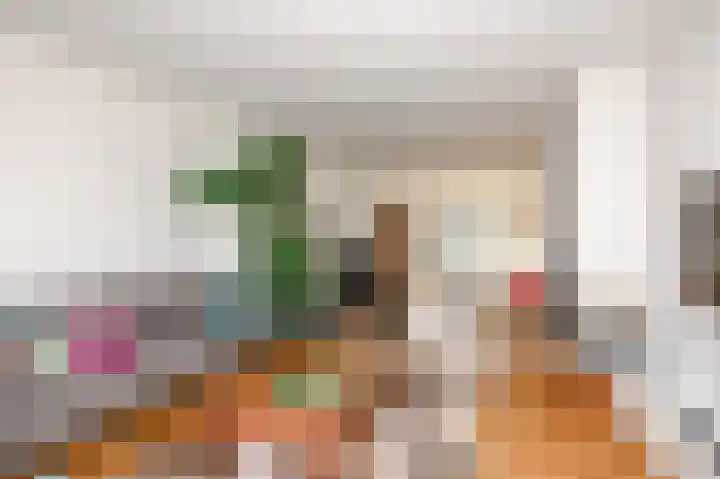 Pieter Meinersstraat 94 Den Haag thumbnail 9