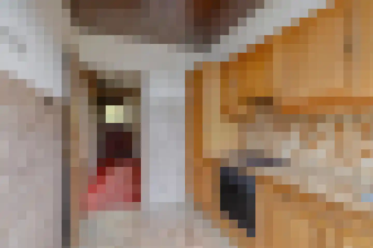 Pieter Mondriaanlaan 32 Woerden thumbnail 15