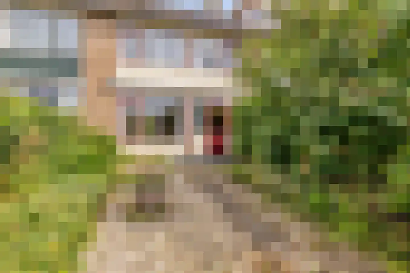 Pieter Mondriaanlaan 32 Woerden thumbnail 26