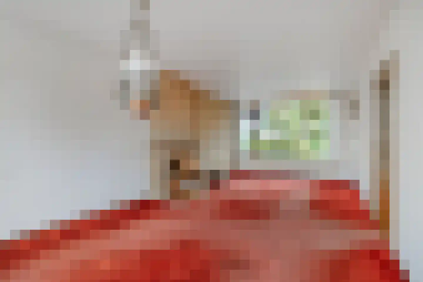 Pieter Mondriaanlaan 32 Woerden thumbnail 4