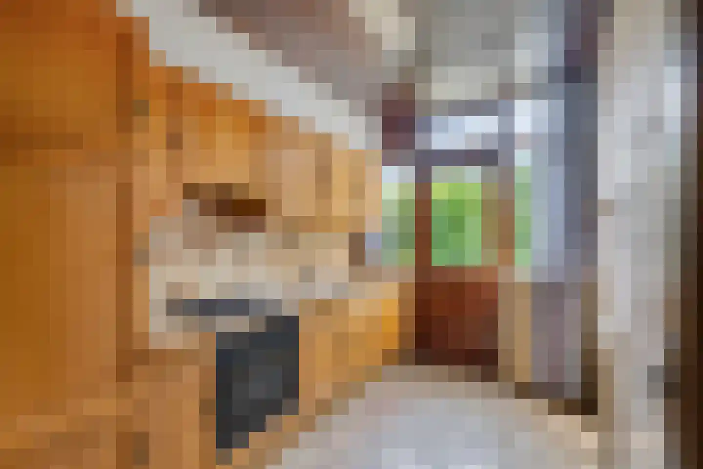 Pieter Mondriaanlaan 32 Woerden thumbnail 5