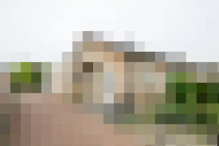 Pieter Mondriaanstraat 14 Winterswijk thumbnail 4