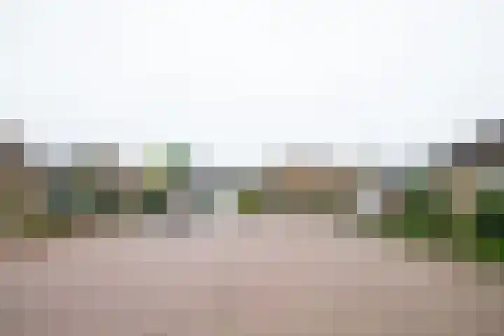 Pieter Mondriaanstraat 14 Winterswijk thumbnail 5