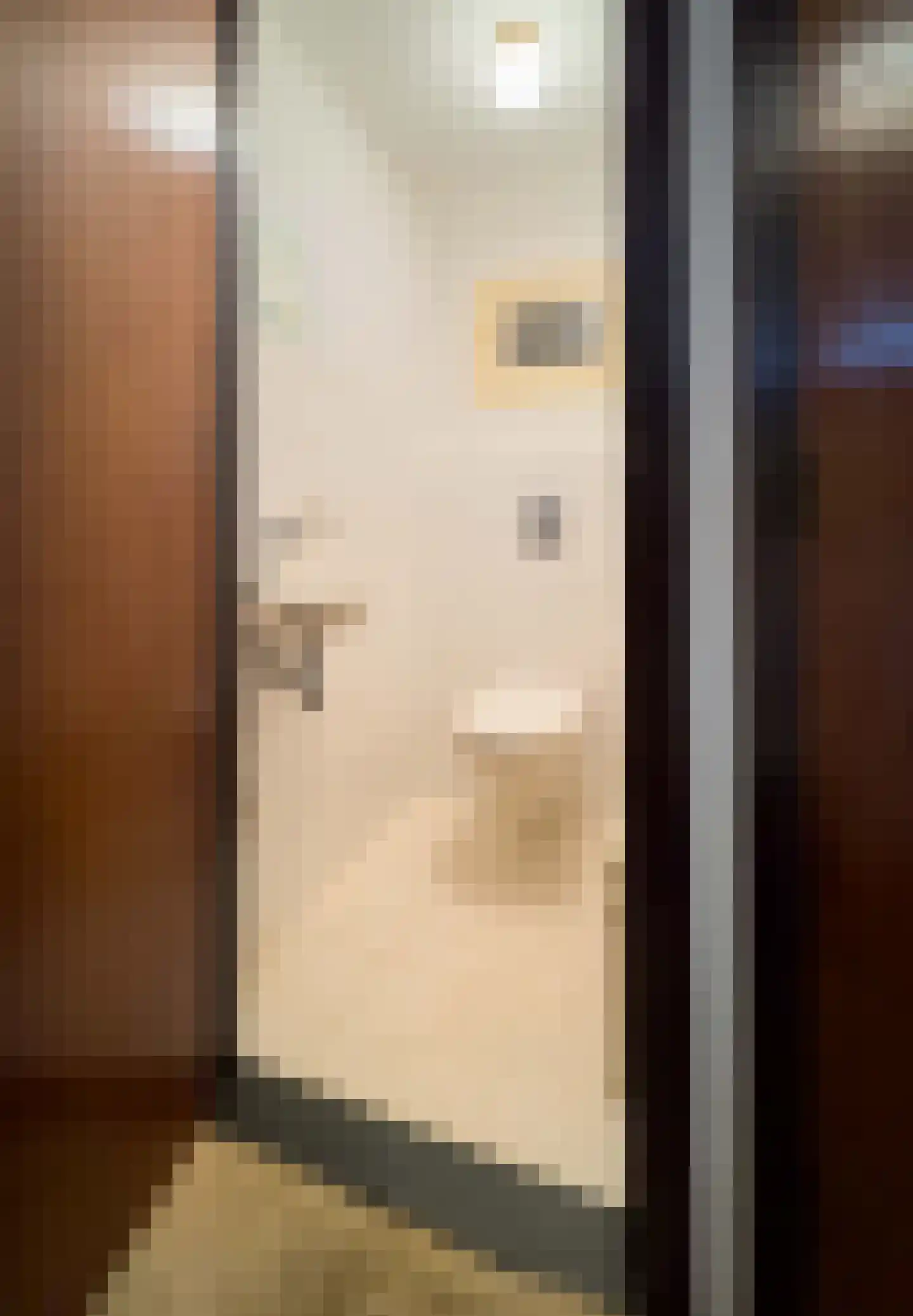 Pieter Mondriaanstraat 3 Bergen L thumbnail 11