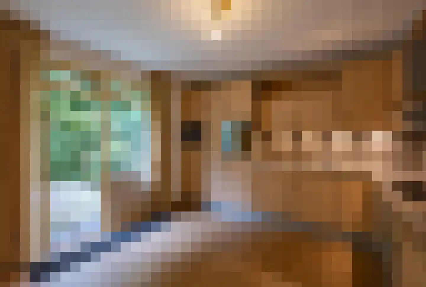 Pieter Mondriaanstraat 3 Bergen L thumbnail 18