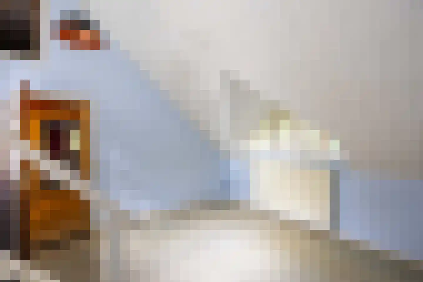 Pieter Mondriaanstraat 3 Bergen L thumbnail 30