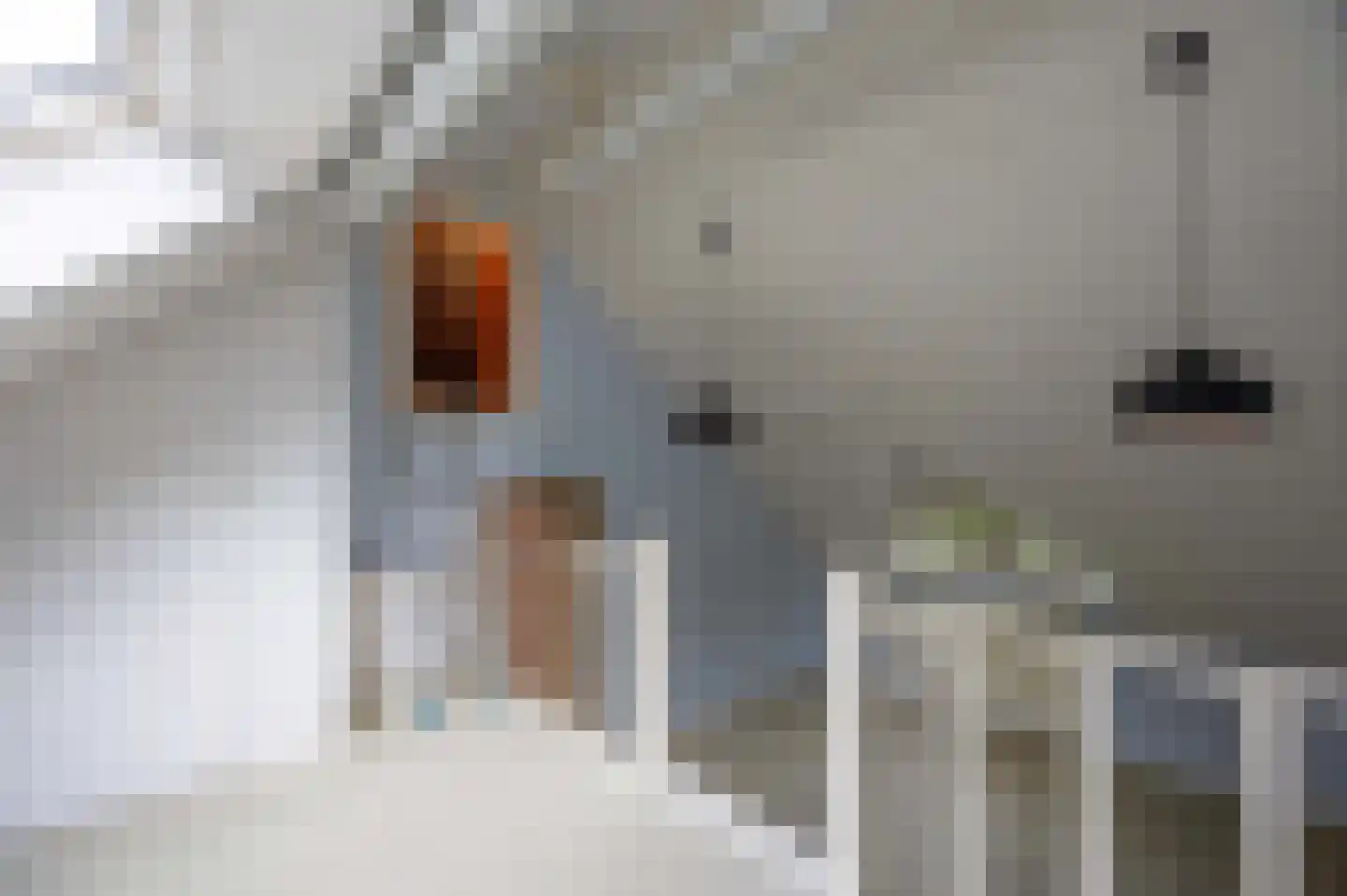 Pieter Mondriaanstraat 3 Bergen L thumbnail 31