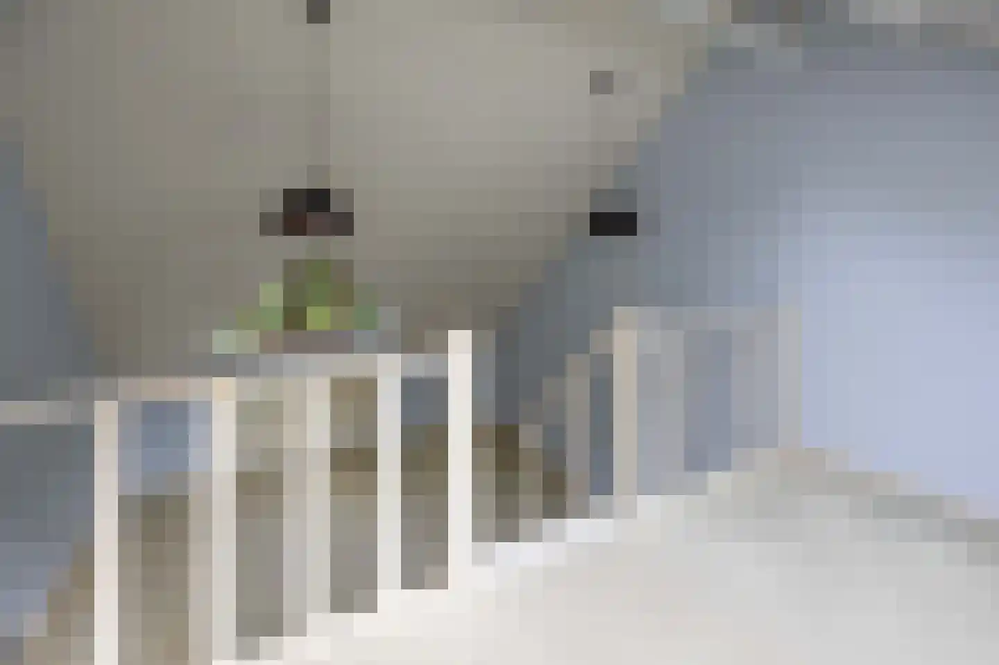 Pieter Mondriaanstraat 3 Bergen L thumbnail 32