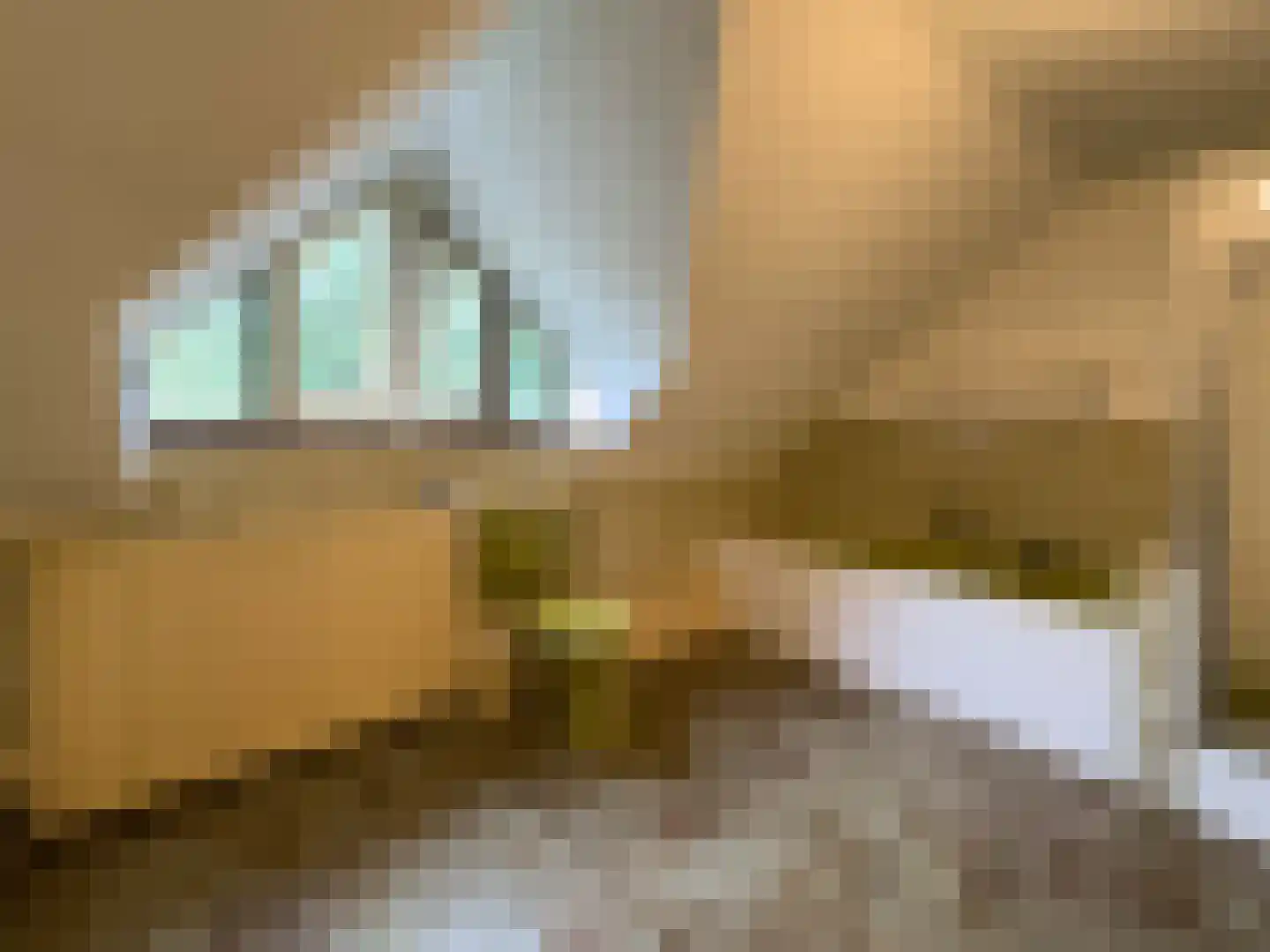 Pieter Mondriaanstraat 3 Bergen L thumbnail 33