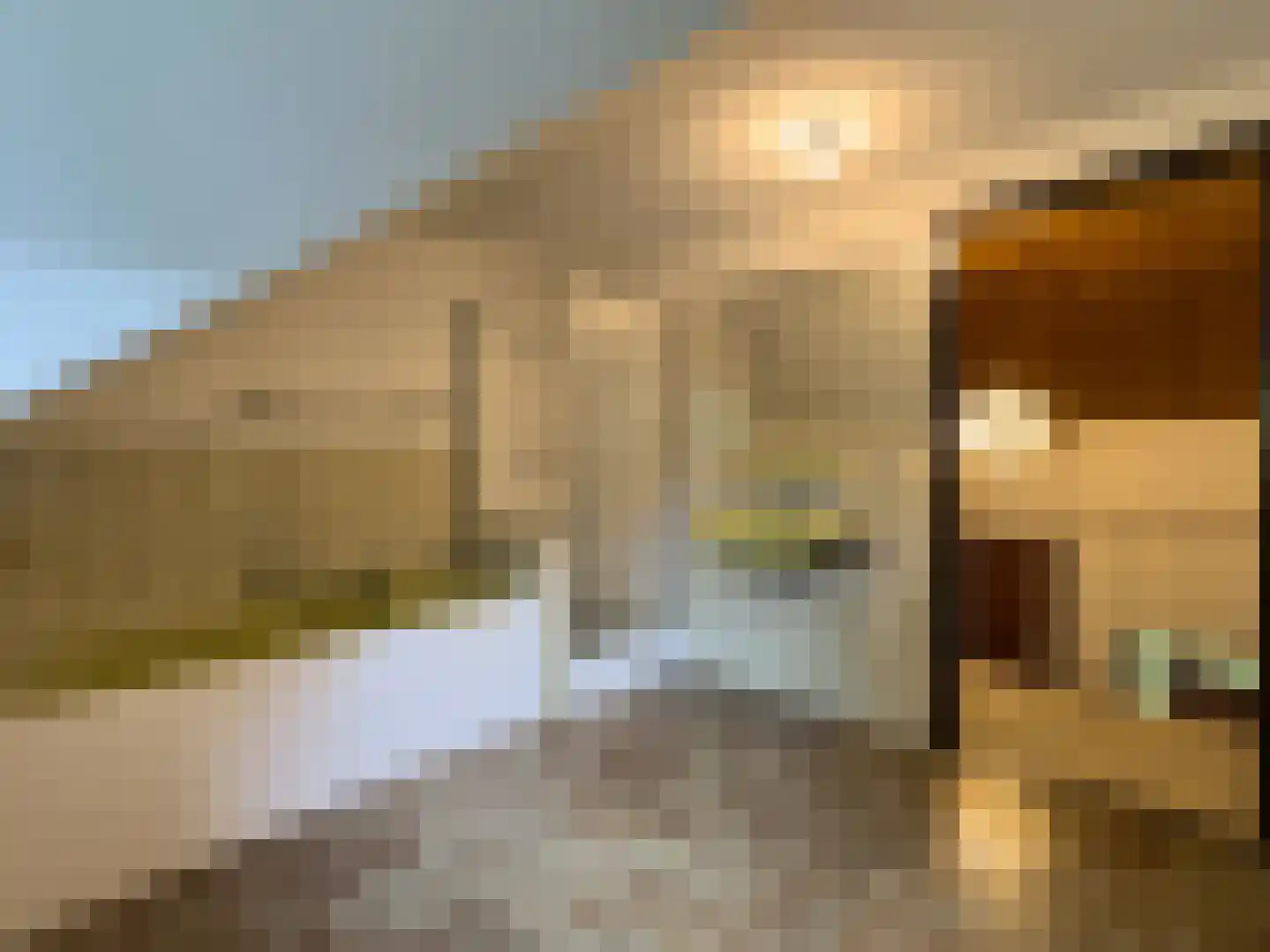 Pieter Mondriaanstraat 3 Bergen L thumbnail 34
