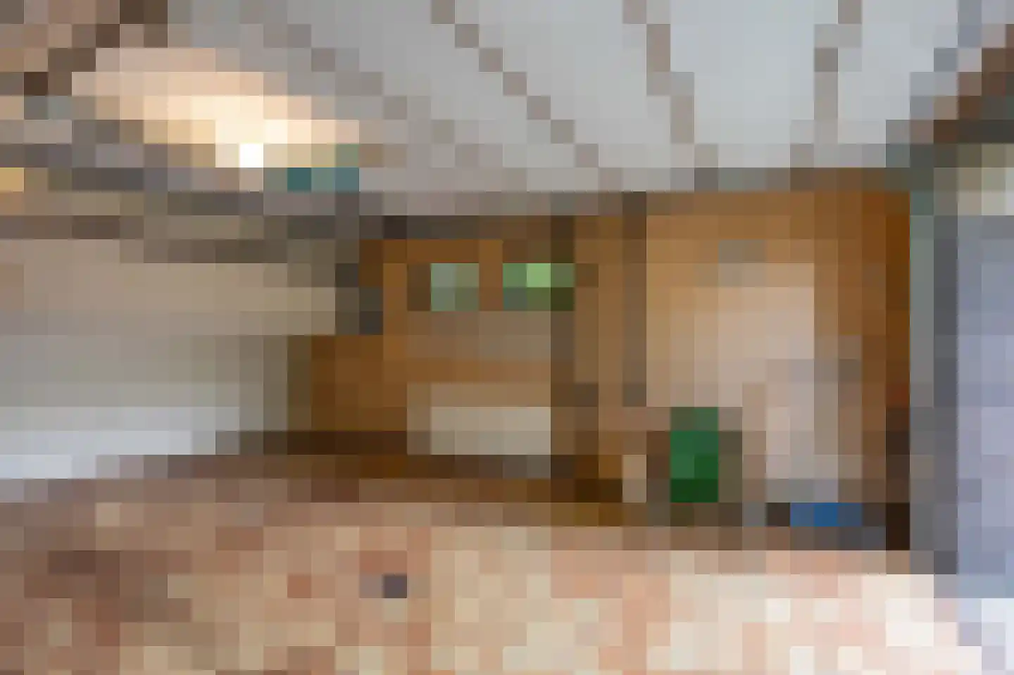Pieter Mondriaanstraat 3 Bergen L thumbnail 37