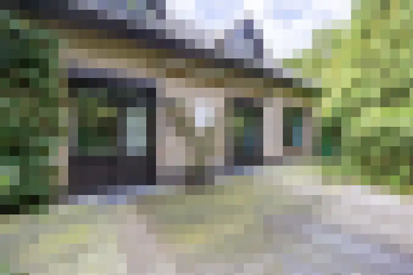 Pieter Mondriaanstraat 3 Bergen L thumbnail 42