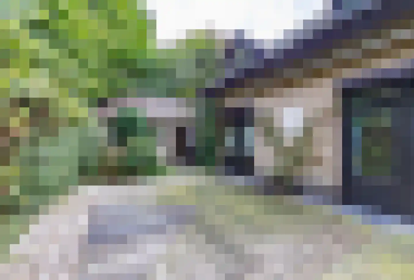 Pieter Mondriaanstraat 3 Bergen L thumbnail 43