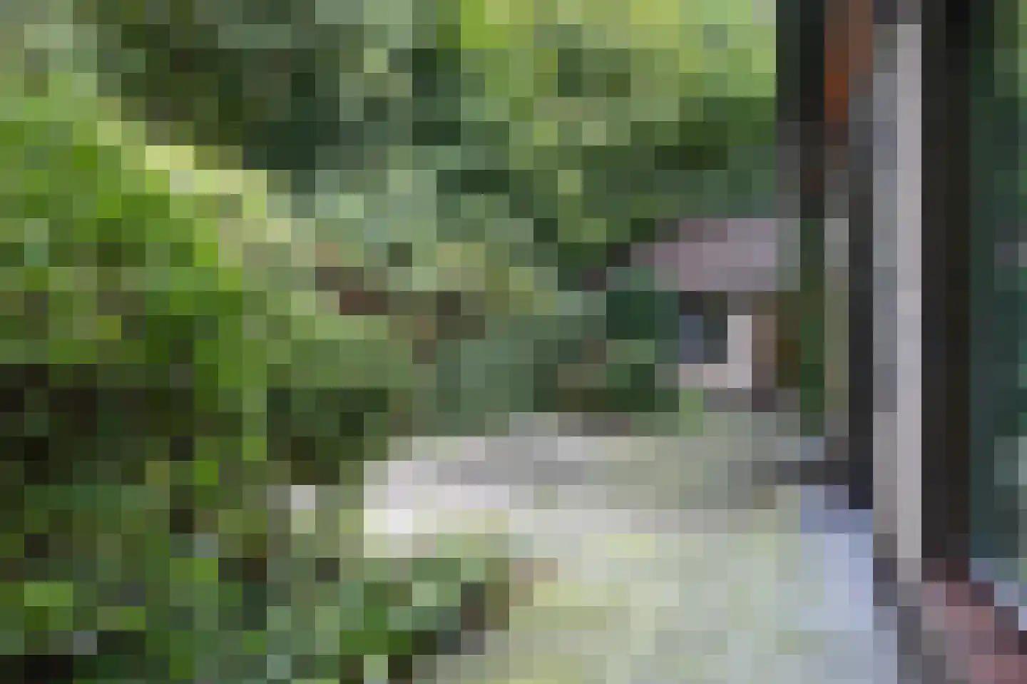 Pieter Mondriaanstraat 3 Bergen L thumbnail 44
