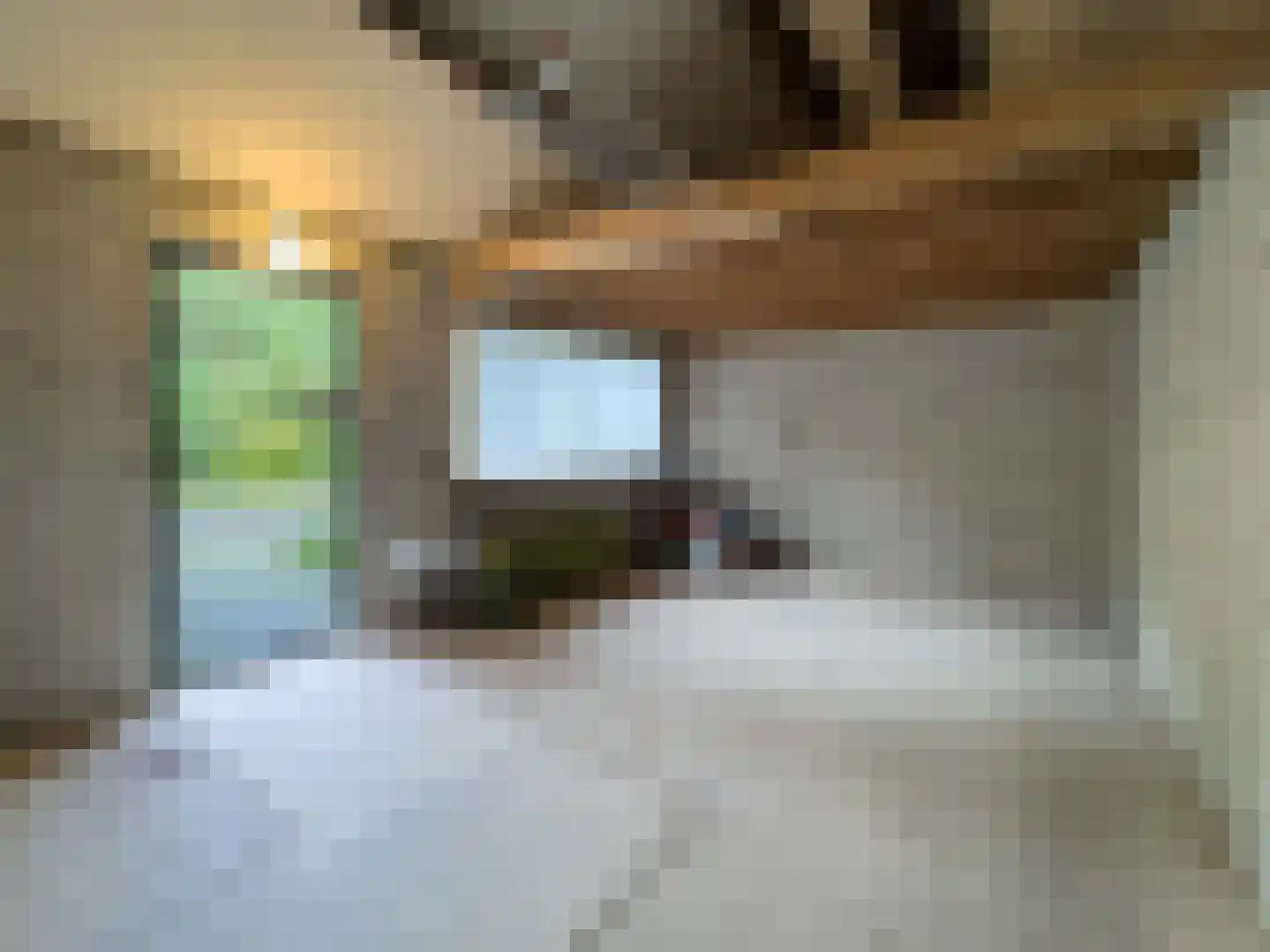 Pieter Mondriaanstraat 3 Bergen L thumbnail 47
