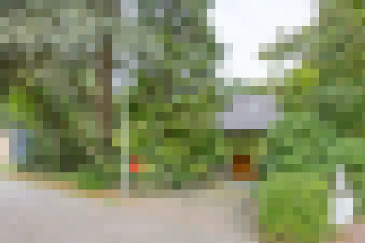 Pieter Mondriaanstraat 3 Bergen L thumbnail 49
