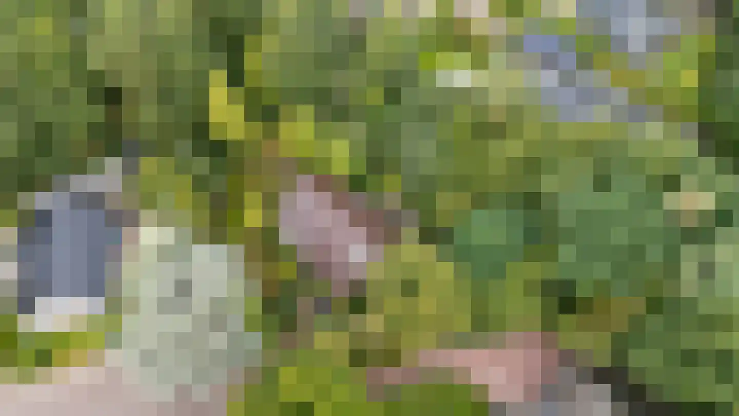 Pieter Mondriaanstraat 3 Bergen L thumbnail 5