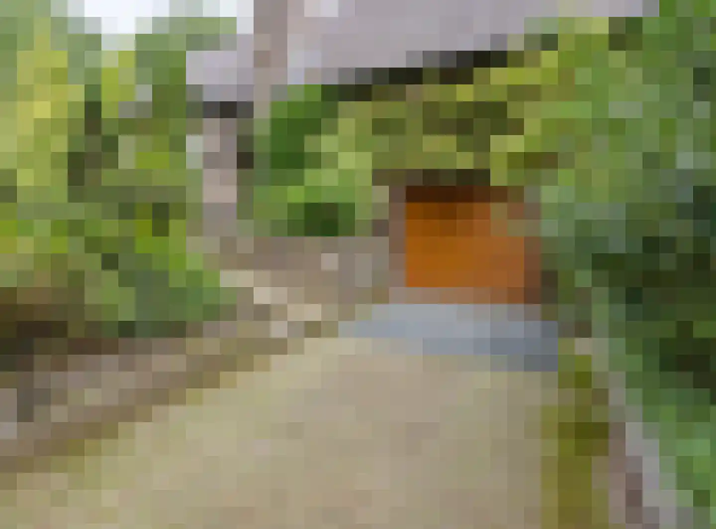 Pieter Mondriaanstraat 3 Bergen L thumbnail 6