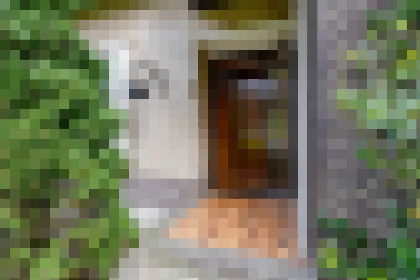 Pieter Mondriaanstraat 3 Bergen L thumbnail 7