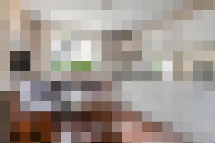 Pieter Mondriaanstraat 4 Bergen L thumbnail 16