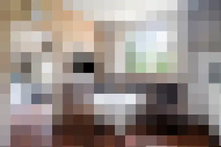 Pieter Mondriaanstraat 4 Bergen L thumbnail 19