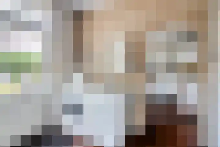 Pieter Mondriaanstraat 4 Bergen L thumbnail 21