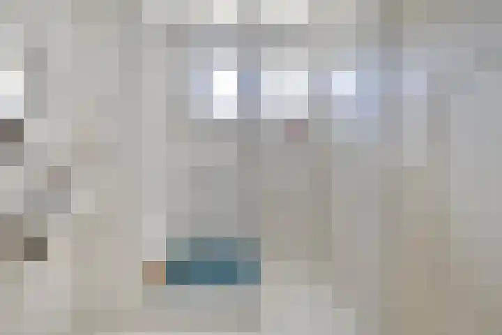 Pieter Mondriaanstraat 4 Bergen L thumbnail 24