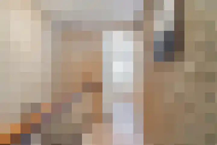 Pieter Mondriaanstraat 4 Bergen L thumbnail 26