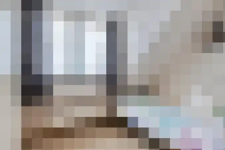 Pieter Mondriaanstraat 4 Bergen L thumbnail 31