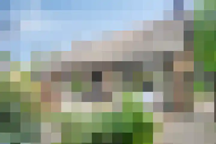 Pieter Mondriaanstraat 4 Bergen L thumbnail 35