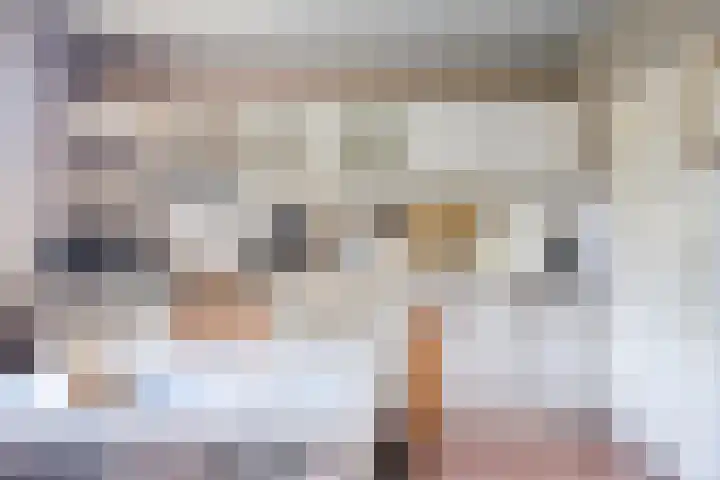 Pieter Mondriaanstraat 4 Bergen L thumbnail 4