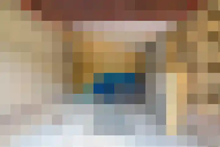 Pieter Mondriaanstraat 4 Bergen L thumbnail 42