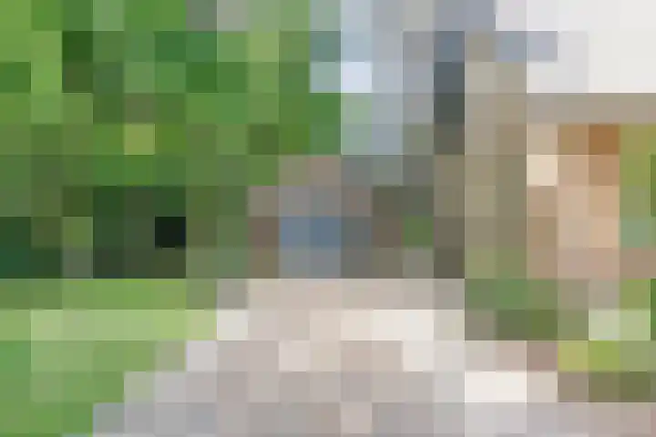Pieter Mondriaanstraat 4 Bergen L thumbnail 46