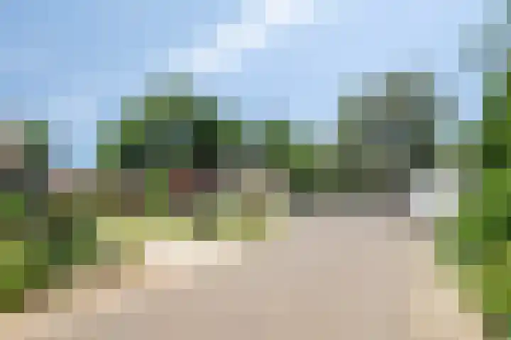 Pieter Mondriaanstraat 4 Bergen L thumbnail 48