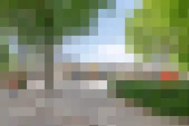 Pieter Mondriaanstraat 4 Bergen L thumbnail 49