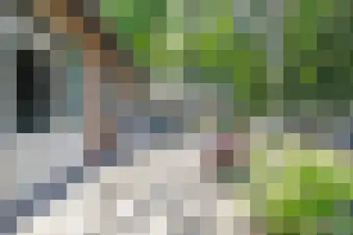 Pieter Mondriaanstraat 4 Bergen L thumbnail 6