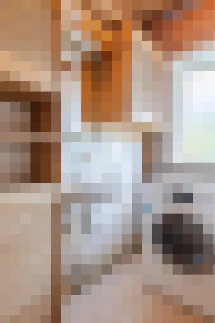Pieter Nieuwlandstraat 14 Utrecht thumbnail 34